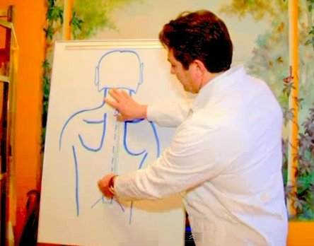 Видео о грудном отделе позвоночника